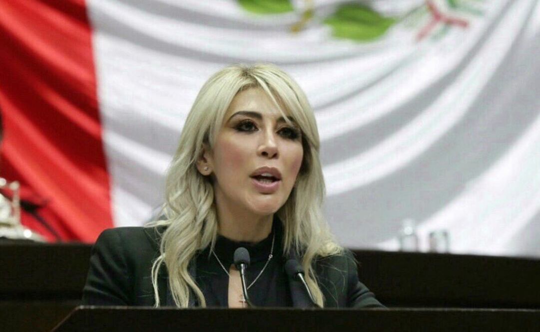 Diputada Norma Guel. Foto: Twitter @norma_guel