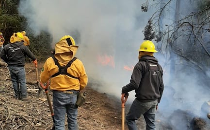 Van 594 incendios forestales en CDMX: Secretaría del Medio Ambiente