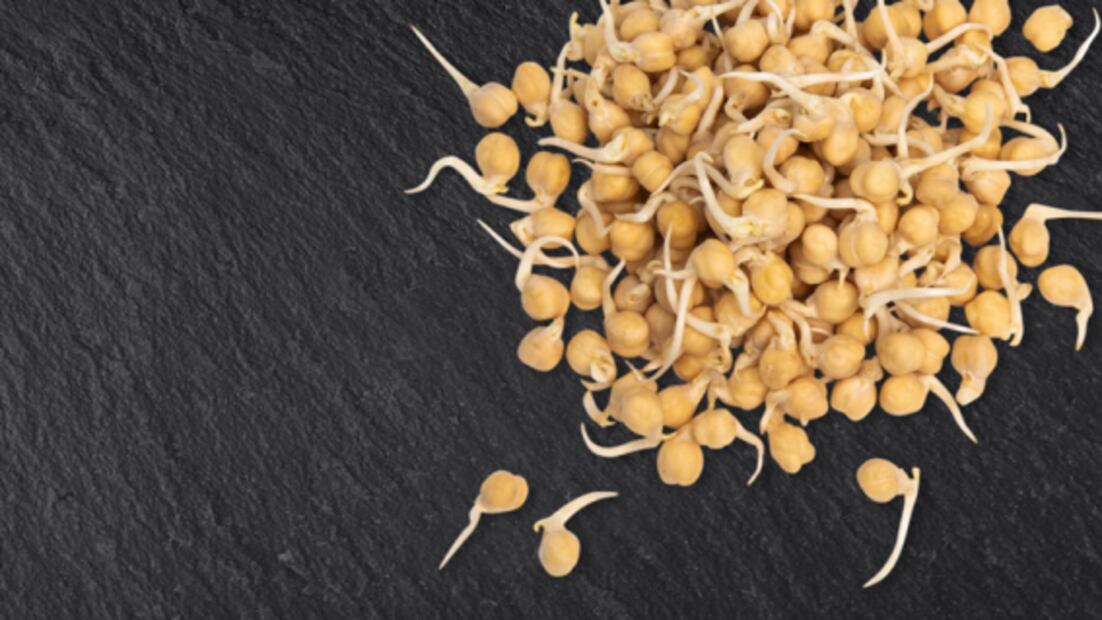 Conoce los 50 alimentos del futuro