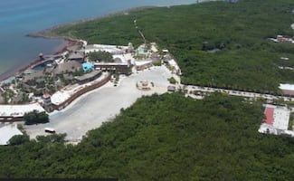 Jueza frena proyecto de Royal Caribbean en Mahahual, Quintana Roo; bloquean uso de suelo por riesgo ambiental