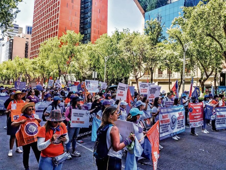 La violencia machista e institucional permiten que persista la violencia vicaria, dice activista. Al alegar que no existe, autoridades violan los derechos de las mujeres y sus hijos, añade.Foto: Especial