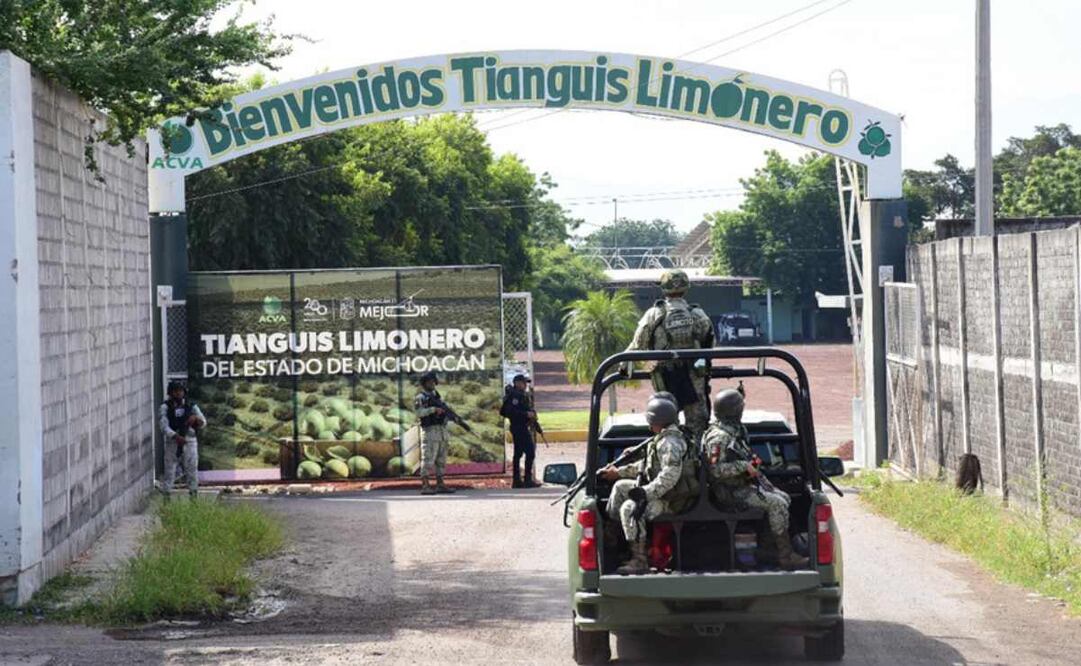 Guardia Nacional y Ejército refuerzan presencia en municipios de Tierra Caliente. Foto: Especial