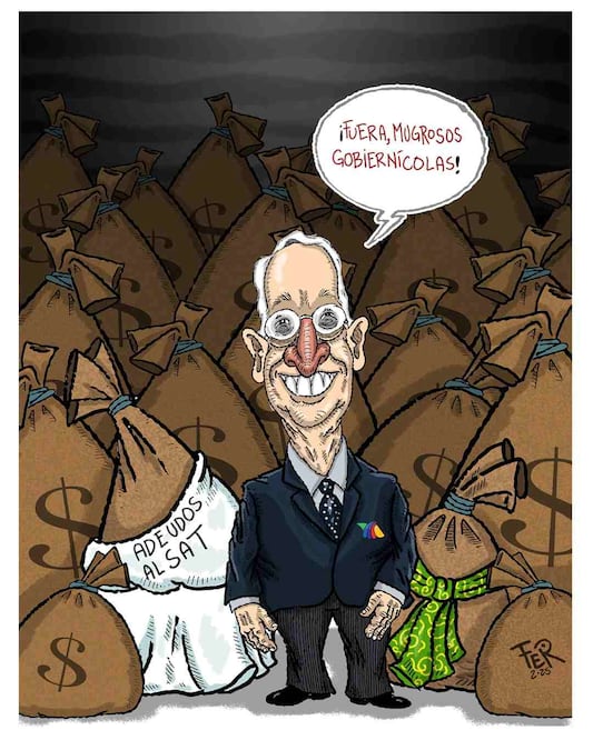 Cartón de FER