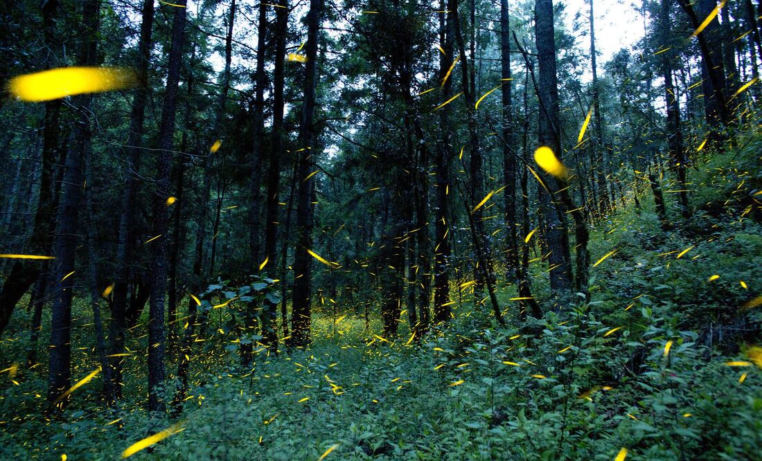 La temporada 2018 iniciará este 20 de junio. (Foto: Turismo de Tlaxcala)