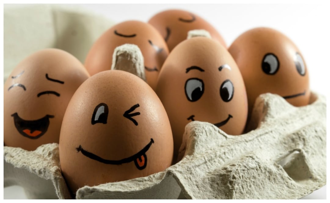 Te decimos cómo escoger los mejores / Foto: iStock