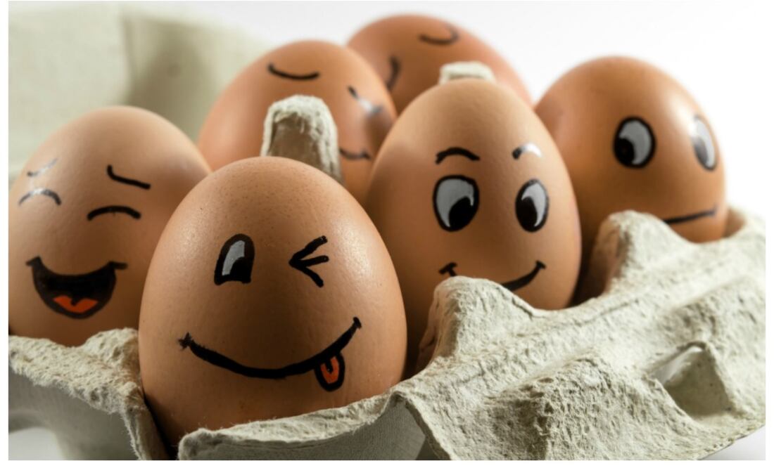 Te decimos cómo escoger los mejores / Foto: iStock