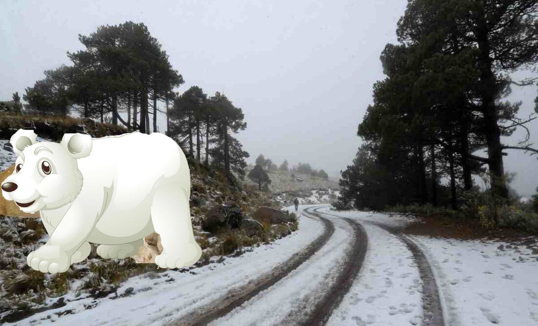 Foto: Cuartoscuro/Fotoarte