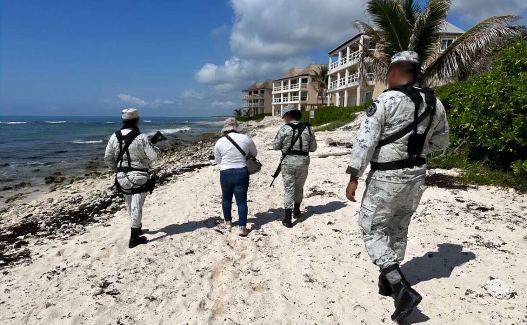 Profepa alista multioperativo en ecosistemas costeros y playas turísticas de 17 estados. Foto: Especial