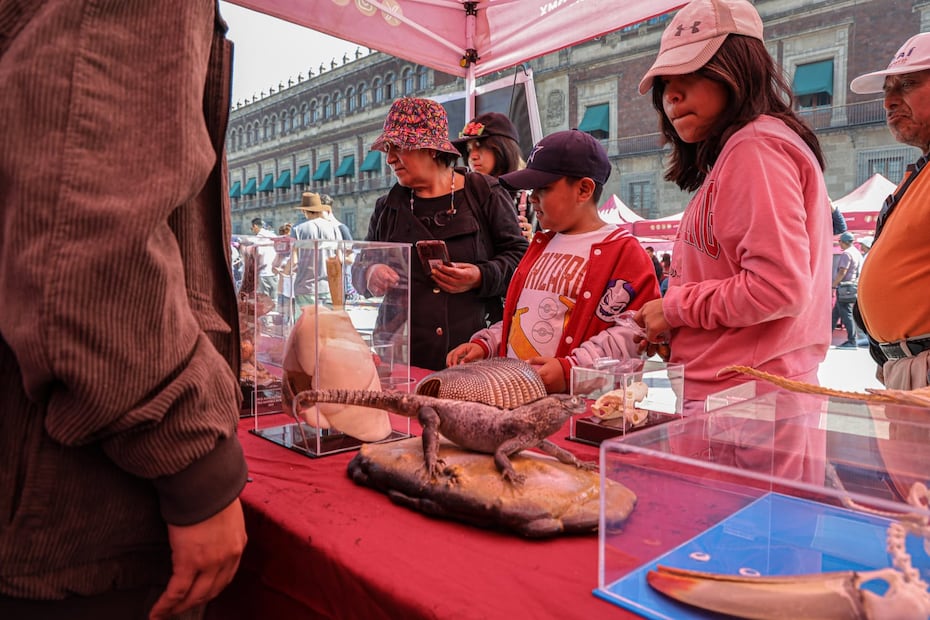Niños y grandes pueden disfrutar de actividades divertidas y gratuitas. (Foto: Gabriel Pano/ EL UNIVERSAL)