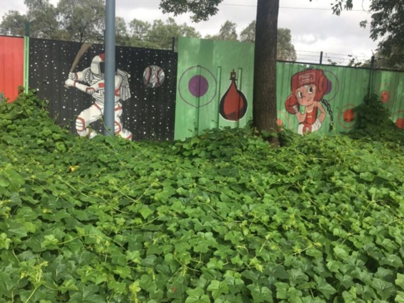 Deportivo El Zarco no reabre por completo tras pandemia y remodelación en GAM