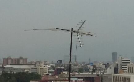 Visita Profepa empresas por contingencia