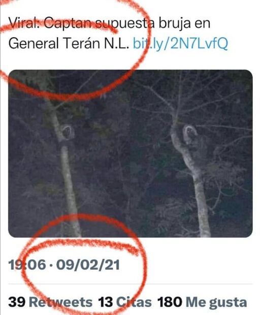 ¿Aluxes en Tren Maya? AMLO difunde foto de supuesto aluxe cerca de la obra; "Todo es místico", afirma 