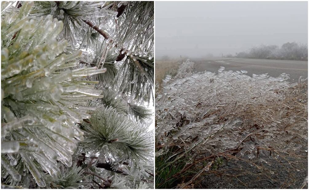 San Luis Potosí se viste de blanco por segunda tormenta invernal (11/01/2025). Foto: Nico Duarte y Cris Méndez