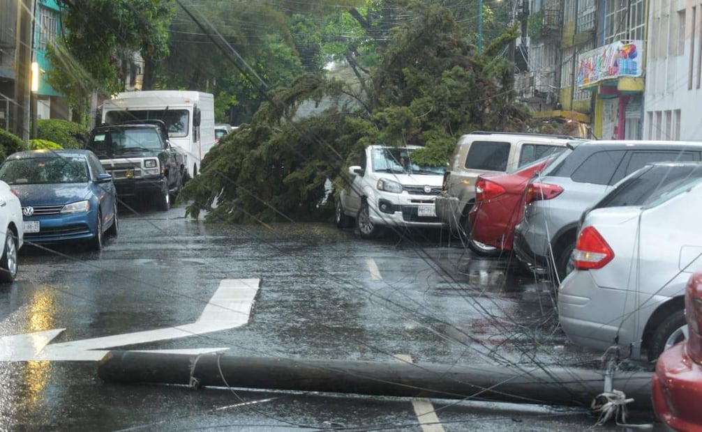 Lluvias derriban poste y árbol en la alcaldía Cuauhtémoc; vehículo resulta afectado.
Foto: Especial.