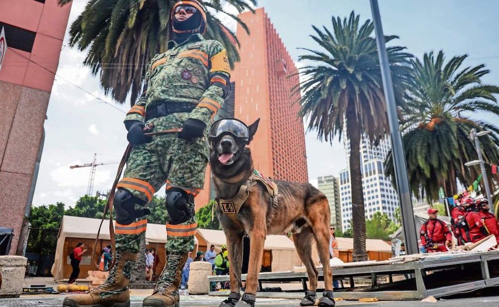 En el Monumento a la Revolución se simuló el rescate de dos personas
heridas, en el que participaron binomios caninos. Foto: LUIS CAMACHO. EL UNIVERSAL