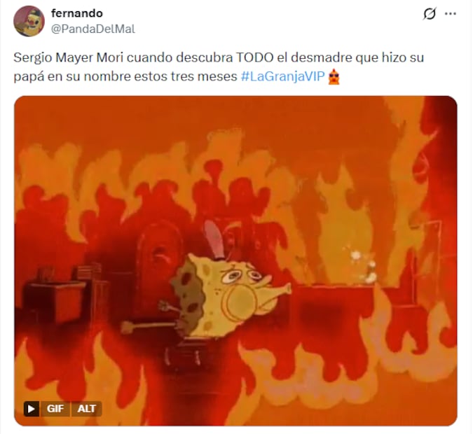 Memes de la eliminación en la semifinal de La Granja VIP. Foto: X