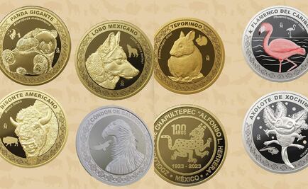 Revenden monedas conmemorativas del Zoológico de Chapultepec; hay anuncios en Amazon y Mercado Libre 