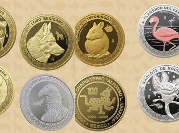 ¡Ojo! Este día habrá venta de medallas conmemorativas del Zoológico de Chapultepec