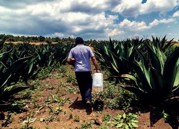 Milpa Bus: recorridos temáticos sin salir de CDMX