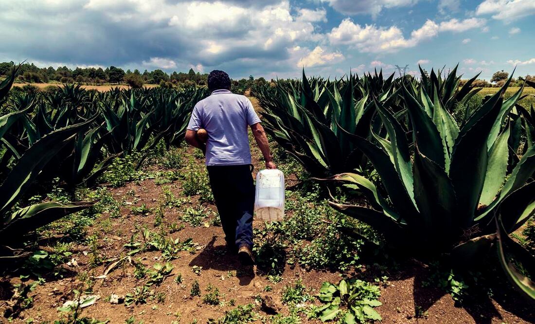 Este recorrido turístico ayuda a la economía local. Foto: Archivo El Universal