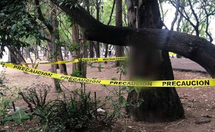 Crucifican a perro sobre árbol en la Gustavo A. Madero