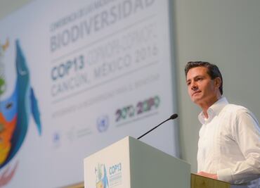 Premio a Gobierno Abierto, muestra de transparencia con ciudadanía: EPN