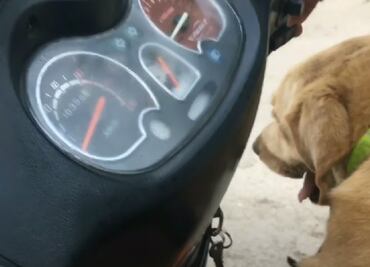 La pareja que viaja en motoneta por México con su perro