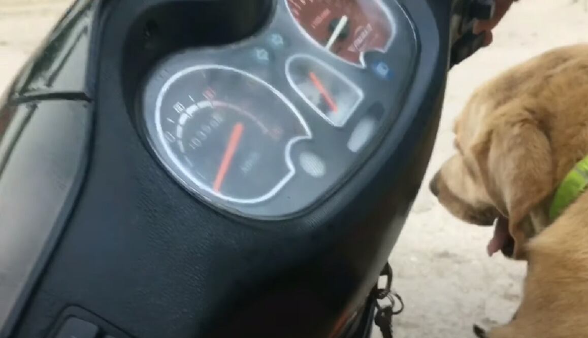 Viajar en carretera por México siempre es interesante y desafiante/ Foto:Pexels