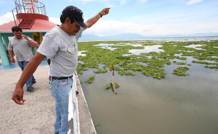 Metales pesados causan insuficiencia renal en comunidad del lago de Chapala