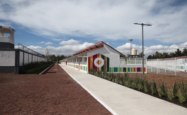 Abre “Xólotl”, nuevo albergue para perros y gatos en CDMX; tendrá capacidad para 600 animales en situación de abandono