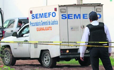 Concentran 5 estados el mayor número de asesinatos al día