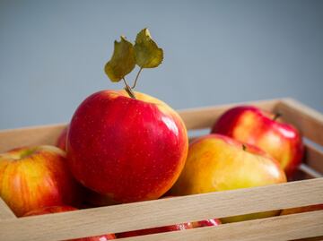 La variedad de manzanas y sus beneficios