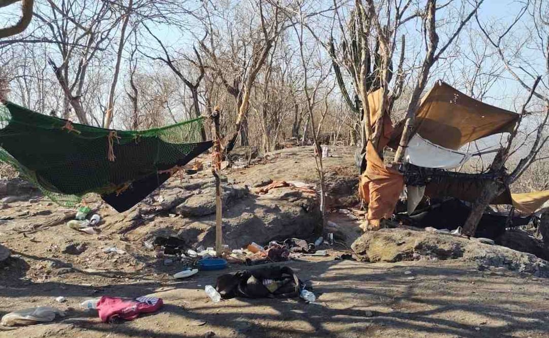 Localización de campamento, y aseguramiento de municiones y droga en Sinaloa. Foto: Secretaría de Marina (Semar).