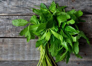 Cuáles son las propiedades y usos del epazote