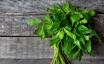Para qué sirve tomar agua de epazote