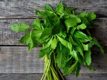 Para qué sirve tomar agua de epazote