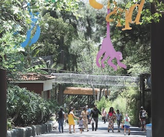 Reabren lugares de esparcimiento, en Jalisco