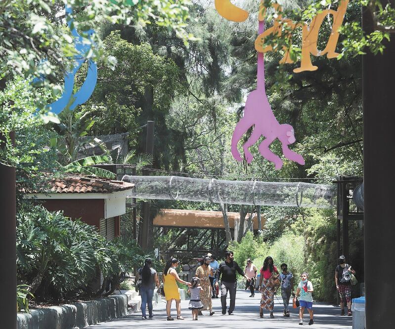 Desde ayer, sitios de recreación con espacios abiertos como los zoológicos reanudaron operaciones a 30% de su capacidad. CARLOS ZEPEDA. EL UNIVERSAL