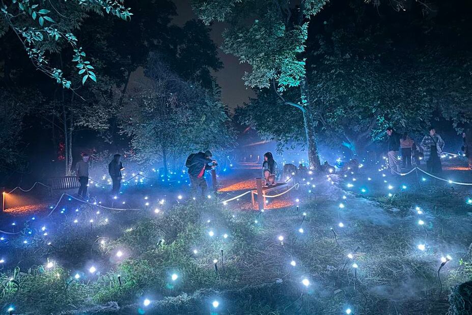 Foto: Omar Moreno. El Universal