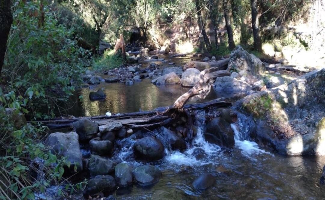 (Foto: Gobierno de la CDMX)