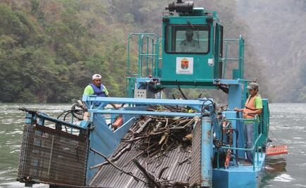Realizan labores de limpieza en el Cañón del Sumidero