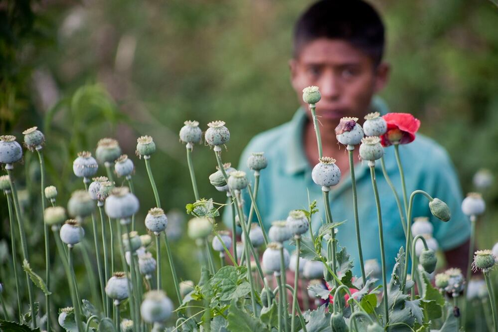 Un reportaje gráfico de Cristopher Rogel Blanquet Chávez, colaborador de EL UNIVERSAL, fue premiado dentro de la 21 edición del Concurso Internacional de Fotografía Documental, “El Trabajo y los Días”, organizado por la Escuela Nacional Sindical de Colombia. 