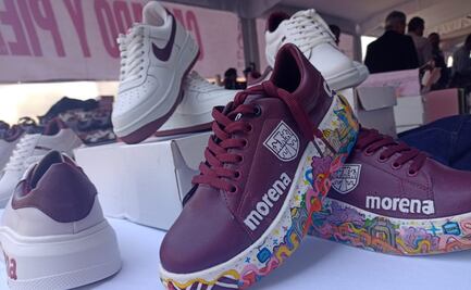 De color guinda, pintados a mano y hasta con nombre de Sheinbaum; Moretennis llegan a la Cámara de Diputados