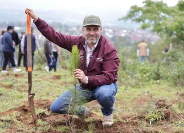 Michoacán anuncia la siembra de 10 millones de árboles; acción forma parte de la campaña de reforestación 2025
