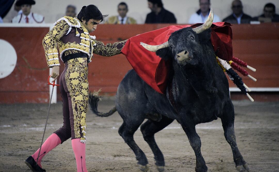 El toreo en espera de luz verde