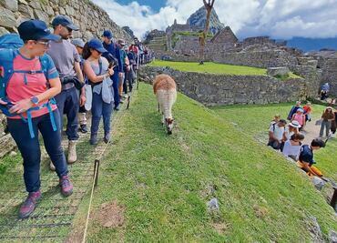 Machu Picchu, amenazada por el turismo de masas