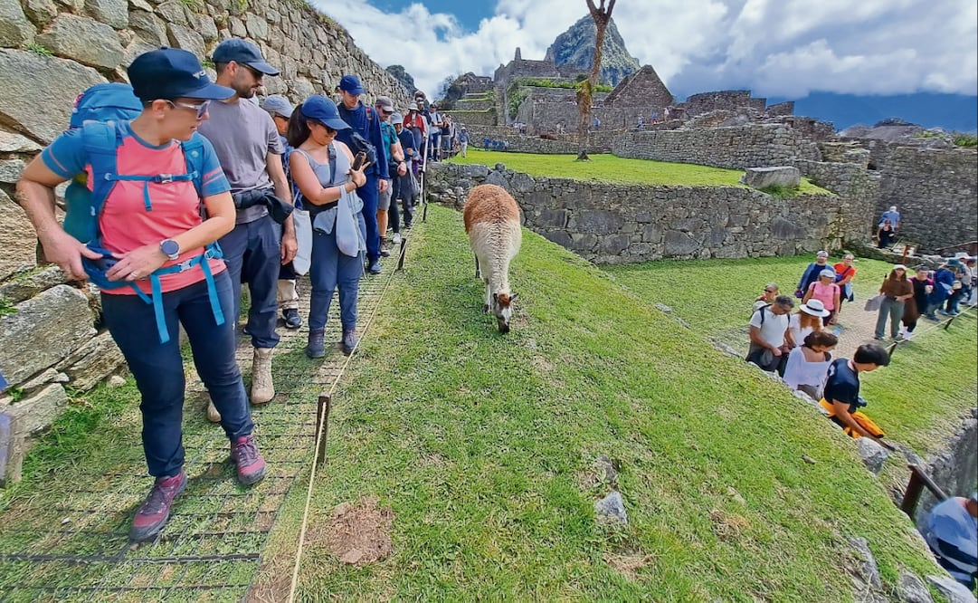Los turistas bajan por unas escaleras de madera improvisadas que conducen a la Plaza de los Templos, el corazón de la ciudadela inca. Foto: Inder Bugarin / EL UNIVERSAL