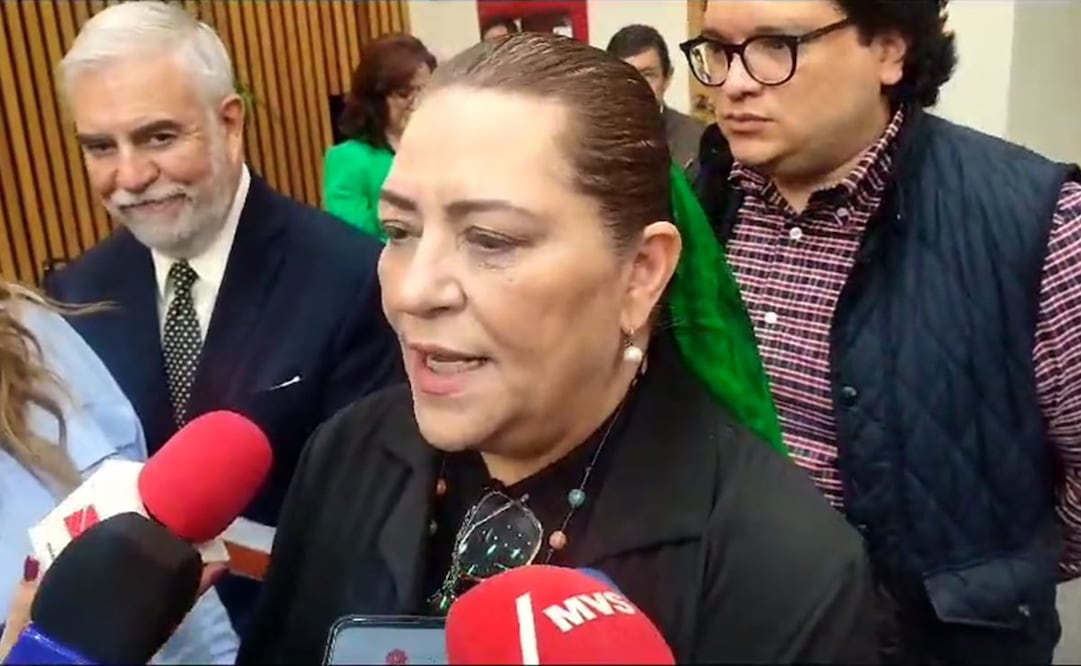 Consejera presidenta del INE, Guadalupe Taddei se pronuncia por presupuesto del organismo. Foto: Captura/Video Otilia Carvajal