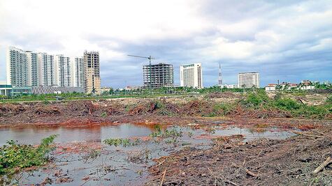 ONG lamenta dichos de Profepa