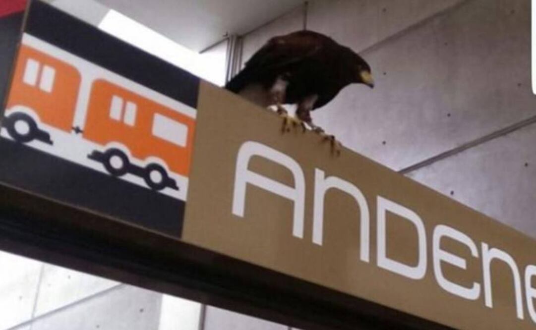 (FOTO: TWITTER @MetroCDMX)